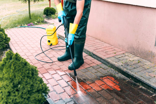 Best Animal Enclosure Cleaning  in Westlake Vlage, IL